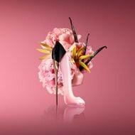 Good Girl Blush – Image 3