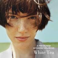 White Tea Eau Fraiche – Image 4
